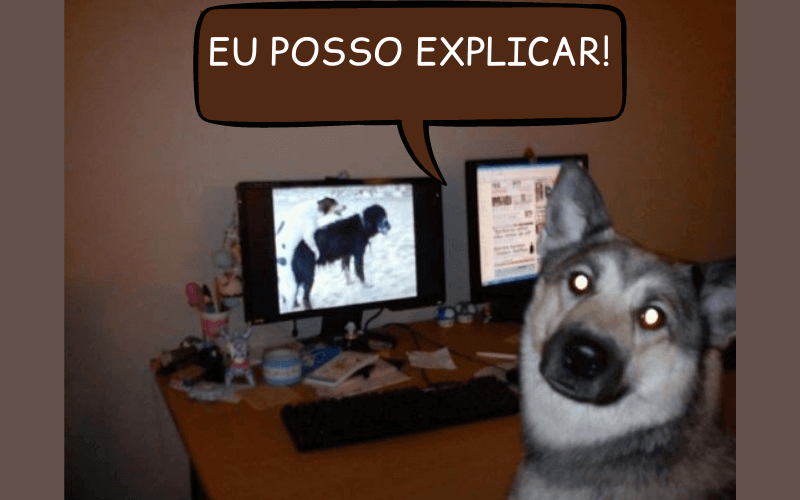 NoFap memes: Os Top 13 memes mais engraçados de NoFap